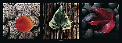 95cm x 33cm Leaves von PINSARD