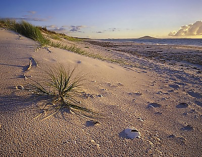 90cm x 70cm Northland Karikari Bay von POPP-HACKNER