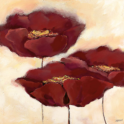 70cm x 70cm Mohn in Milch II von Elena Filatov