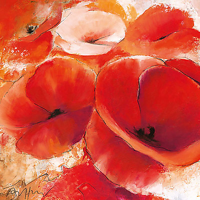98cm x 98cm Mohnwiese von Thomas Aeffner