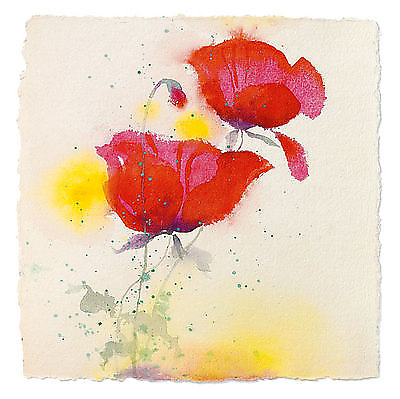 70cm x 70cm Papaveri I von FONTANA,ANDREA