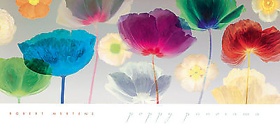137cm x 61cm Poppy Panorama von MERTENS,ROBERT