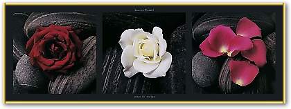 Roses on stones von PINSARD
