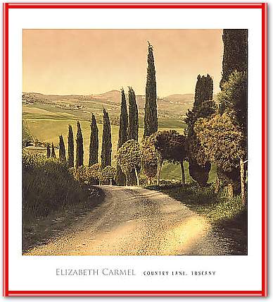 Country Lane, Tuscany von CARMEL,ELIZABET