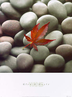 Leaf on Stone von WANS,GLEN + GALE