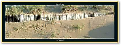 Dune de Carteret von PINSARD