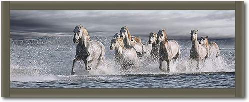 Horses Running at the Beach von Jorge Llovet