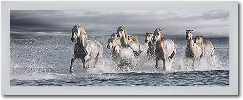 Horses Running at the Beach von Jorge Llovet