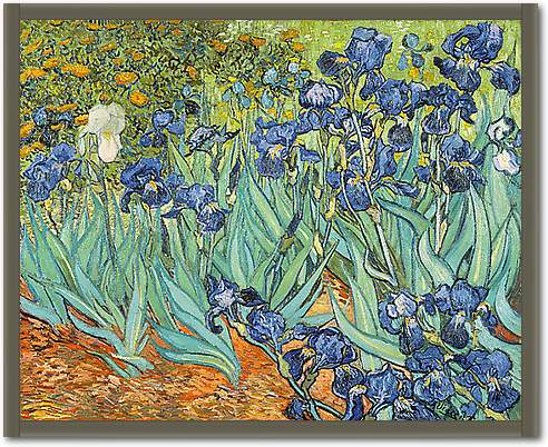 Iris von van Gogh,Vincent