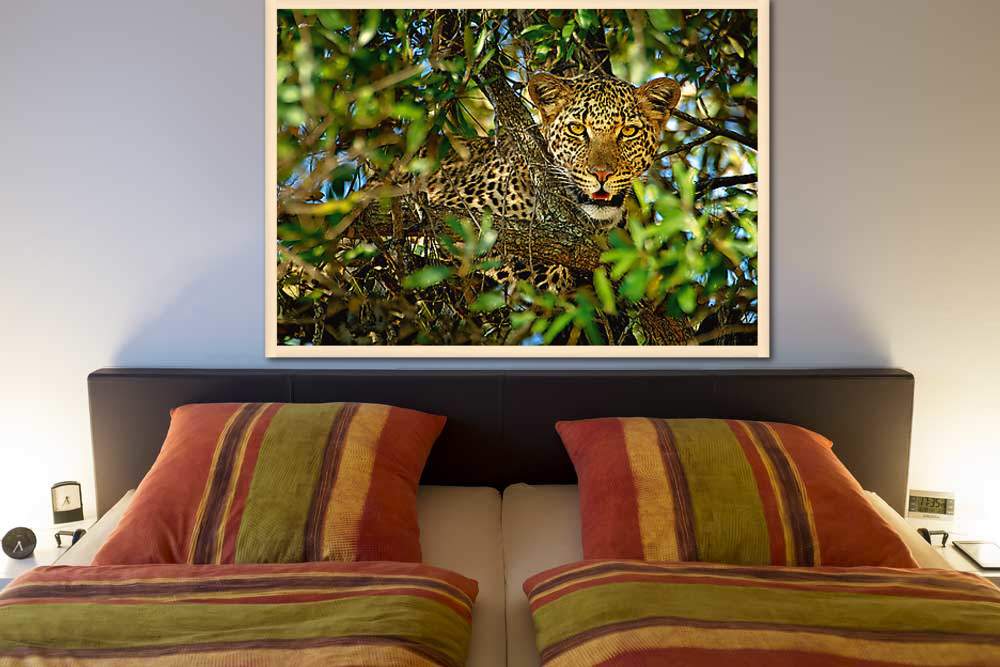 Leopard Camouflage von Ortega,Xavier