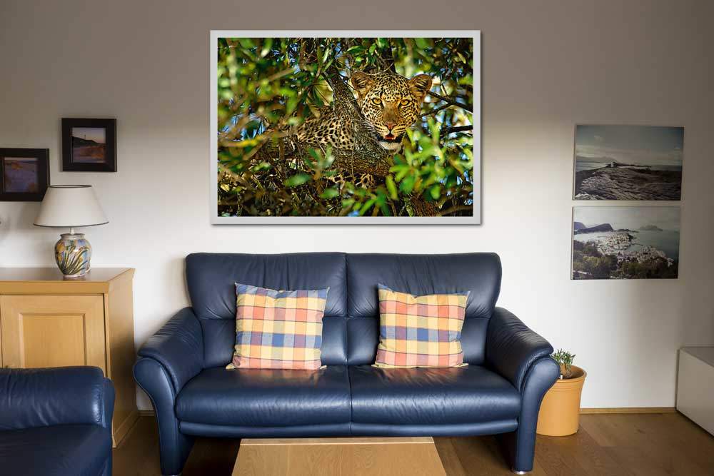 Leopard Camouflage von Ortega,Xavier