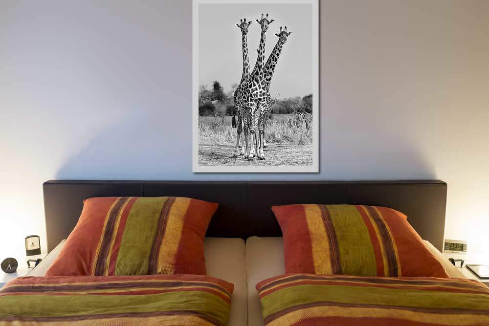 Giraffes Three von Ortega,Xavier