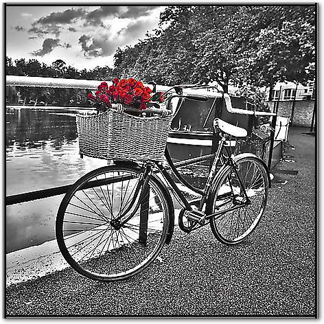 Romantic Roses I von Assaf, 