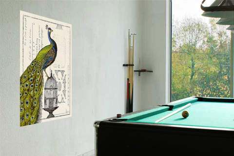 Peacock Birdcage I von Schlabach, Sue