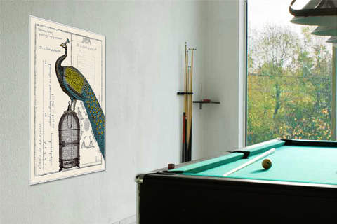 Peacock Birdcage II von Schlabach, Sue