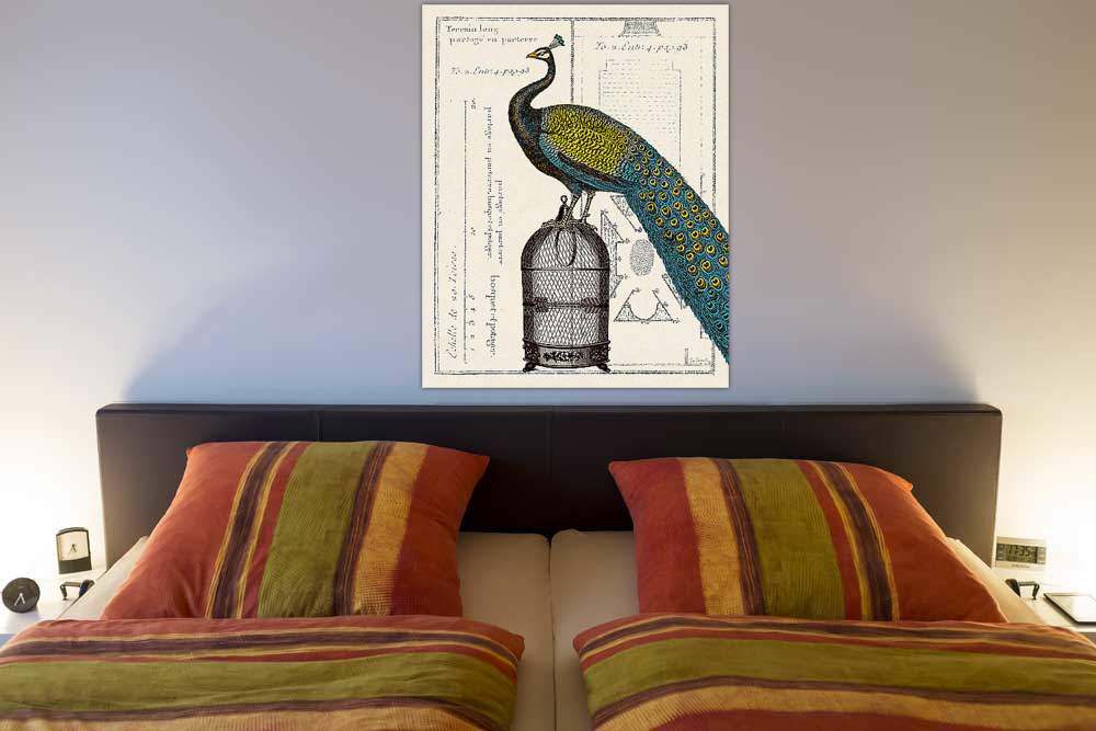 Peacock Birdcage II von Schlabach, Sue