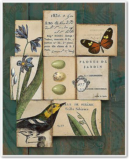 Birds and Butterflies I von Schlabach, Sue