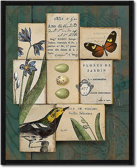 Birds and Butterflies I von Schlabach, Sue