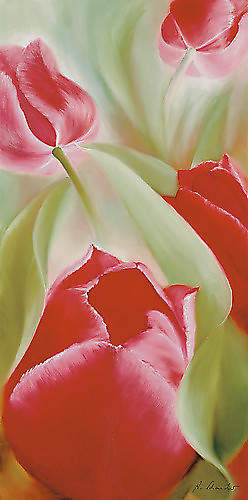 Tulpen II von Schmucker, Annette