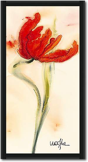 Tulipe I von Marthe, 