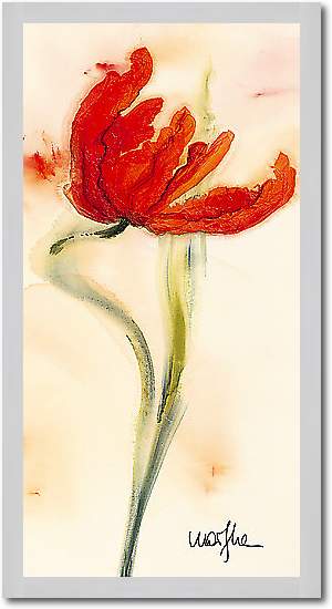 Tulipe I von Marthe, 