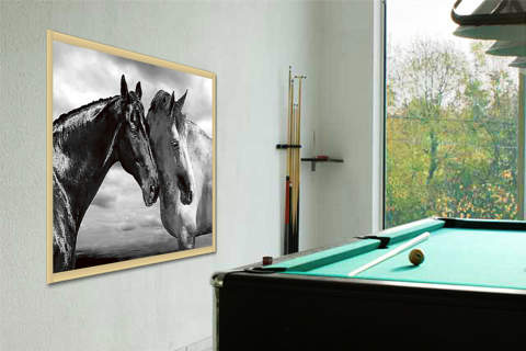 Horse Portrait von Llovet, Jorge