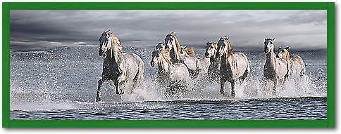 Horses Running at the Beach von Llovet, Jorge