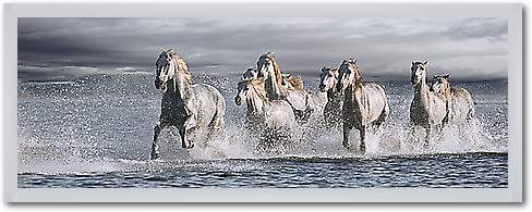 Horses Running at the Beach von Llovet, Jorge