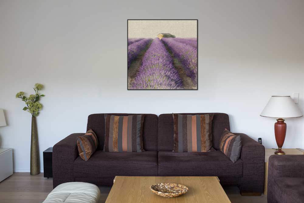 Lavender Field von Bret Straehling
