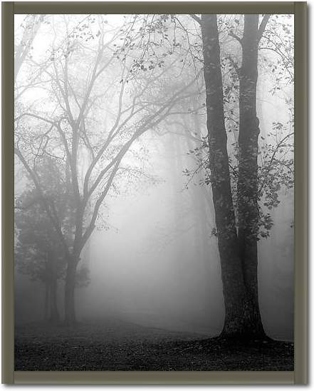 November Fog von Nicholas Bell