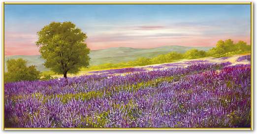 Lavender Field von Heinz Schöllnhammer