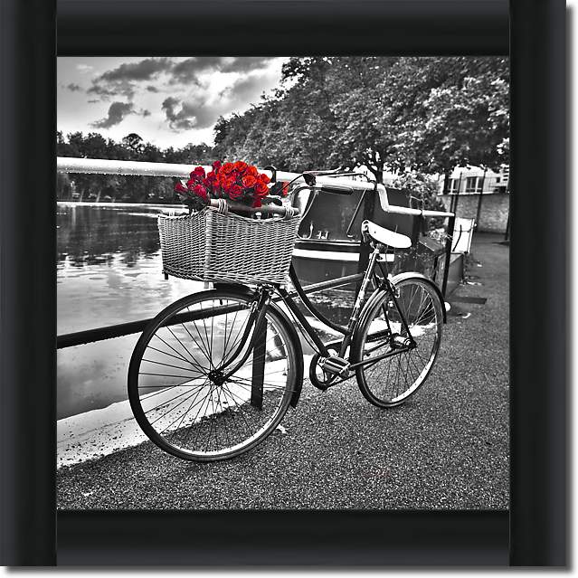 Romantic Roses I von Assaf Frank