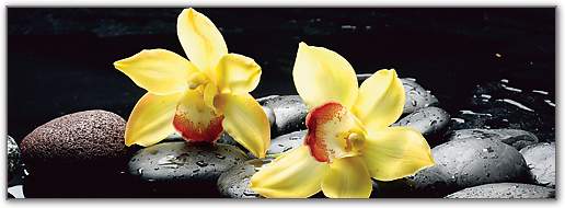 Still life with orange orchid with water von crystalfoto