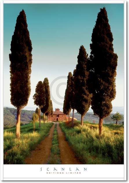 Cypress Lane                     von Scanlan