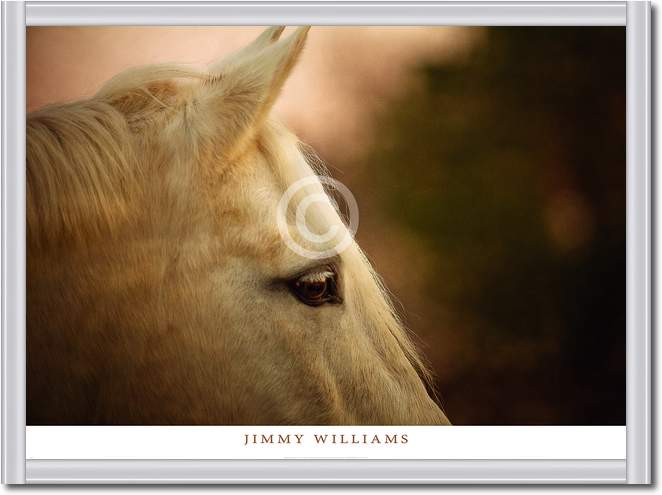 Insight                          von Jimmy Williams