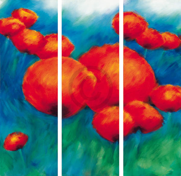 Mohnblüten Triptychon (3-tlg.)   von Thomas Aeffner