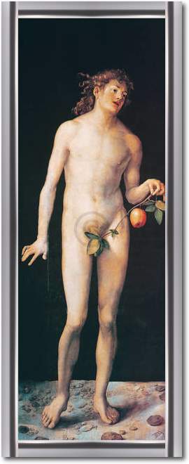 Adam                             von Albrecht Dürer