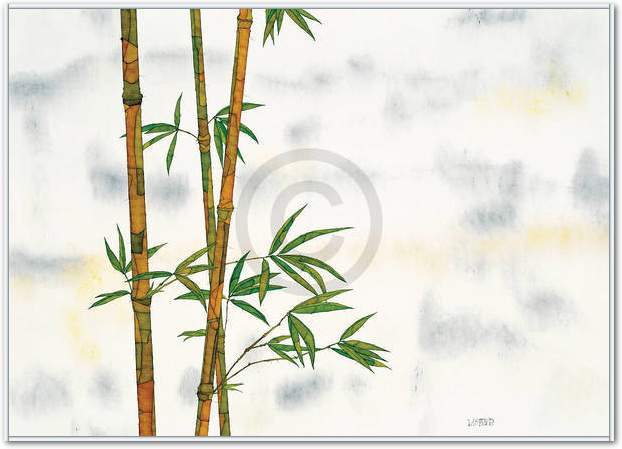 Bambus                           von Michael Ferner