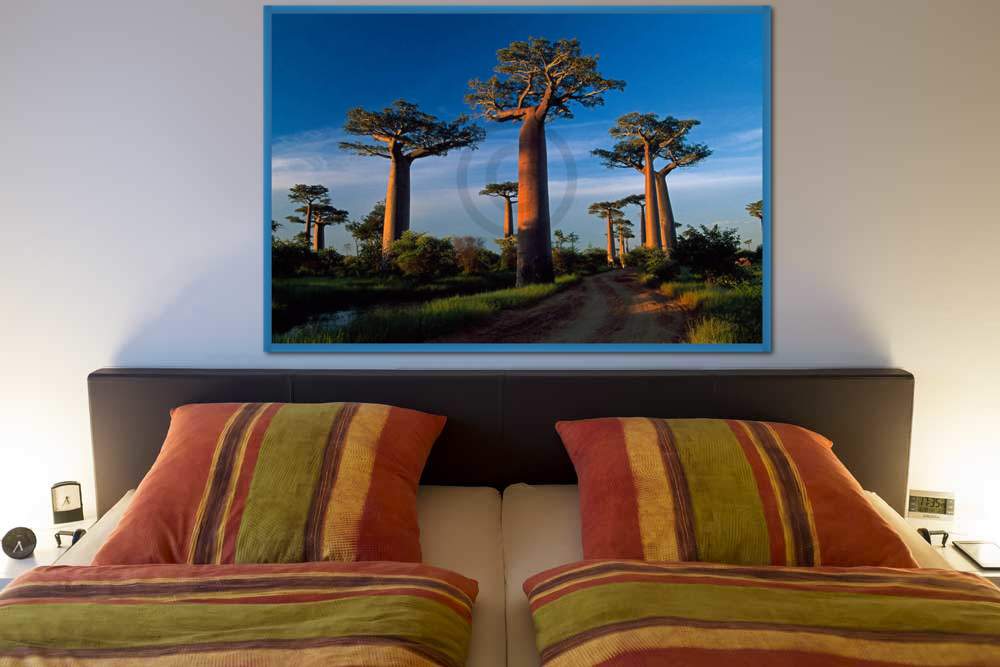 Baobab Tree                      von Thomas Marent
