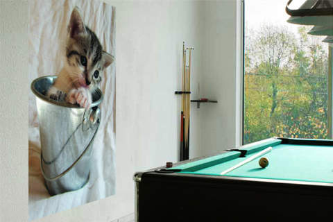Cat 2                            von Henry Sterzik