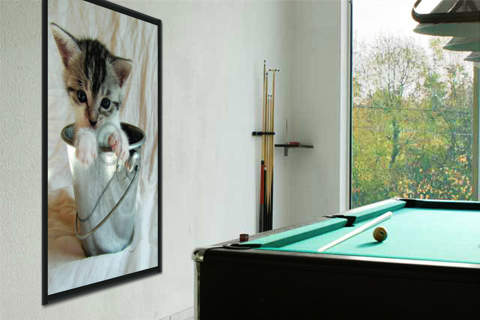 Cat 3                            von Henry Sterzik