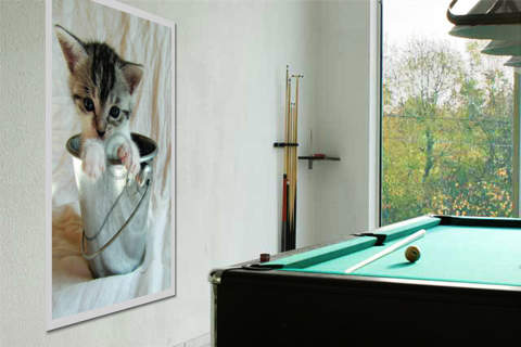 Cat 3                            von Henry Sterzik