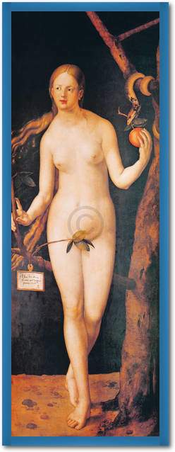 Eva                              von Albrecht Dürer