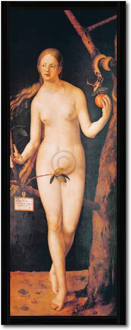 Eva                              von Albrecht Dürer