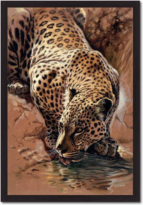 Leopard's Sundowner              von Renato Casaro