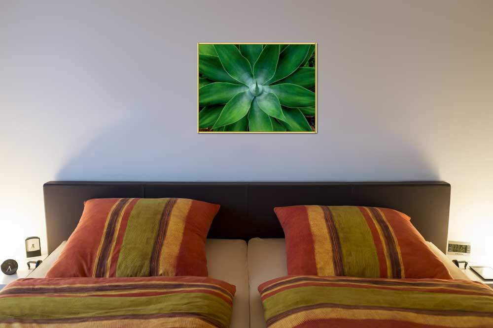 Mein kleiner grüner Kaktus       von Bernhard Böser