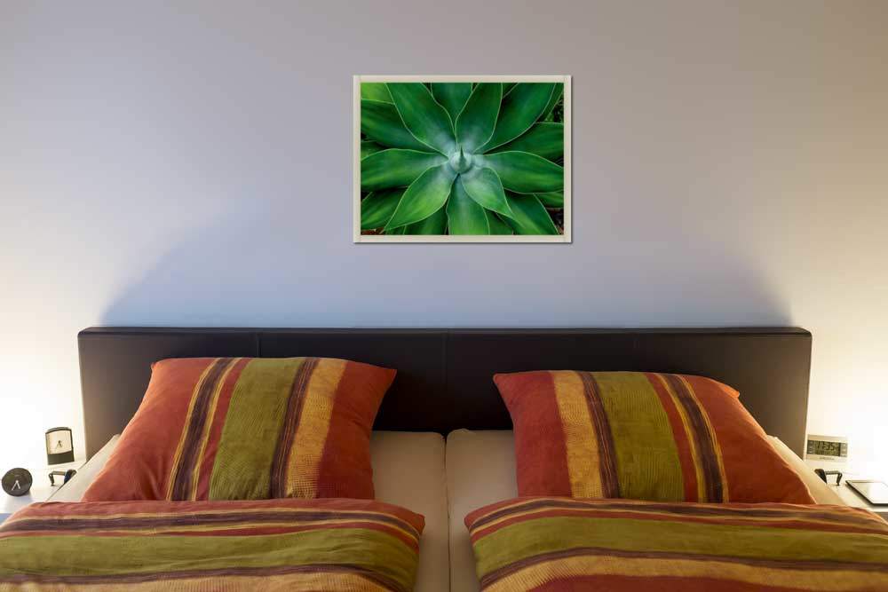 Mein kleiner grüner Kaktus       von Bernhard Böser