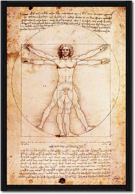 Proportionszeichnung nach Vitruv von Leonardo Da Vinci
