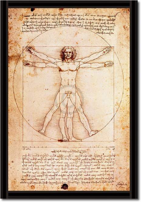 Proportionszeichnung nach Vitruv von Leonardo Da Vinci