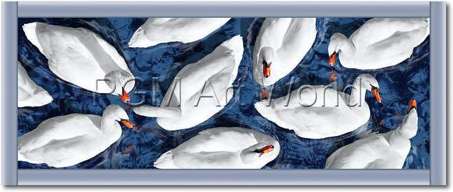 Swan Lake                        von Roberto Scaroni